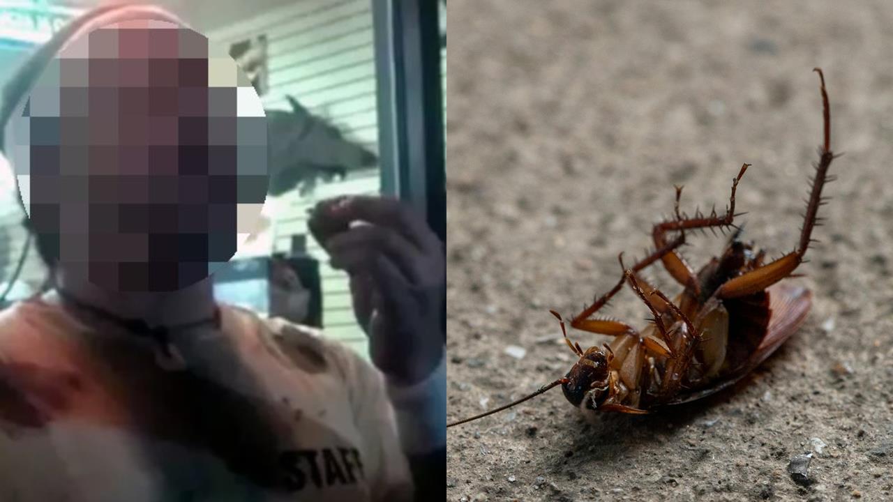 32歲男比賽「生吞10cm活蟑螂」一口氣嗑數十隻！吃完倒地狂吐驚人畫面曝