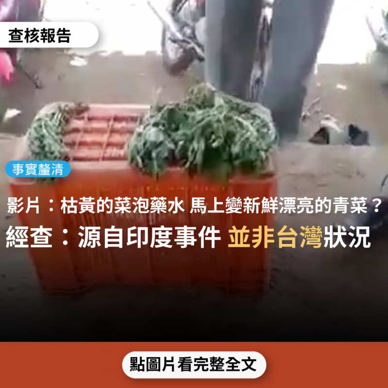 事實查核／【事實釐清】網傳影片「好恐怖喔！枯黃的菜浸泡藥水馬上新鮮漂亮的青菜，難怪癌症到處都是」？