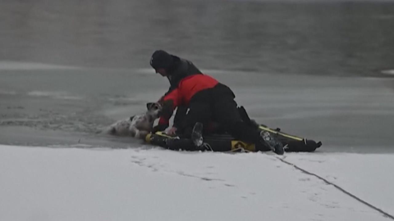 貪玩小狗受困結冰湖中 消防員展開冰雪救援