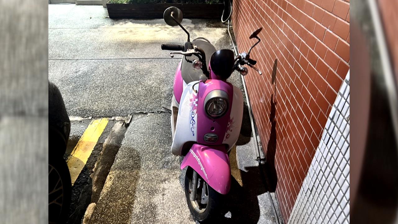 中壢賊偷小綿羊跑給警追　警溫情喊話：別跑了會受傷