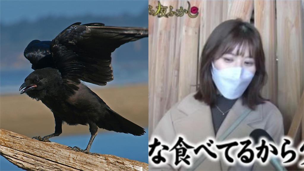 日本綜藝節目惡意剪輯「中國人愛吃烏鴉」遭中網砲轟！高層出面道歉了