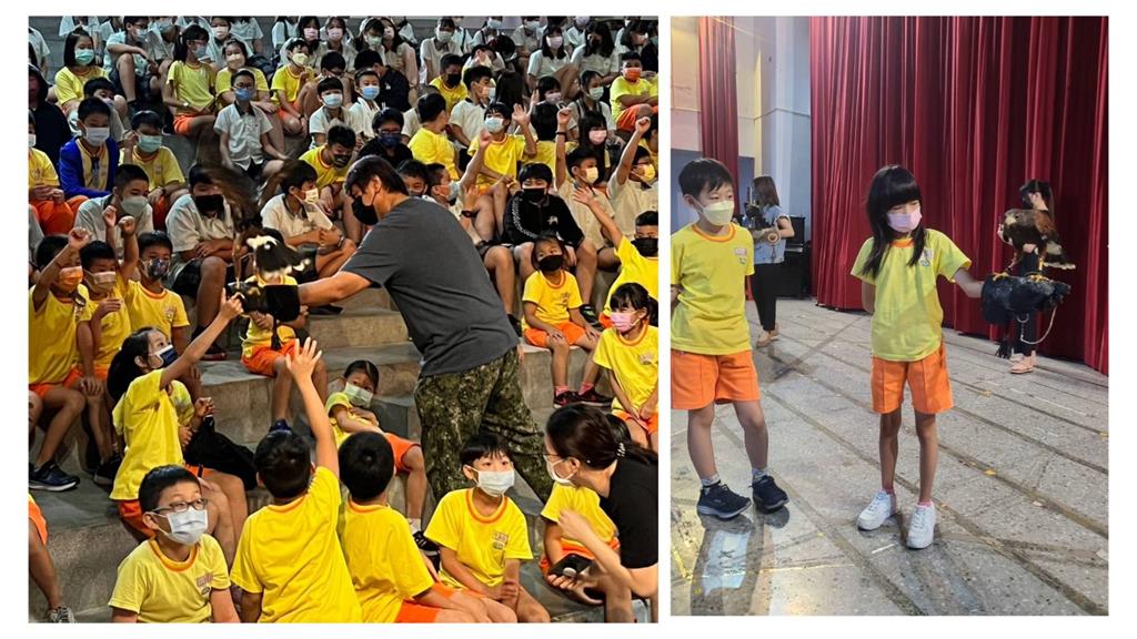 猛禽巡迴進校園 新北三重國小2百名學生樂歪