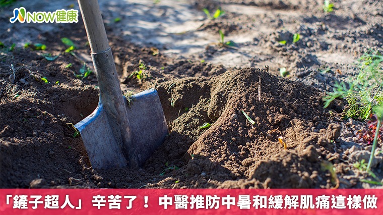 「鏟子超人」辛苦了! 中醫推防中暑和緩解肌痛這樣做