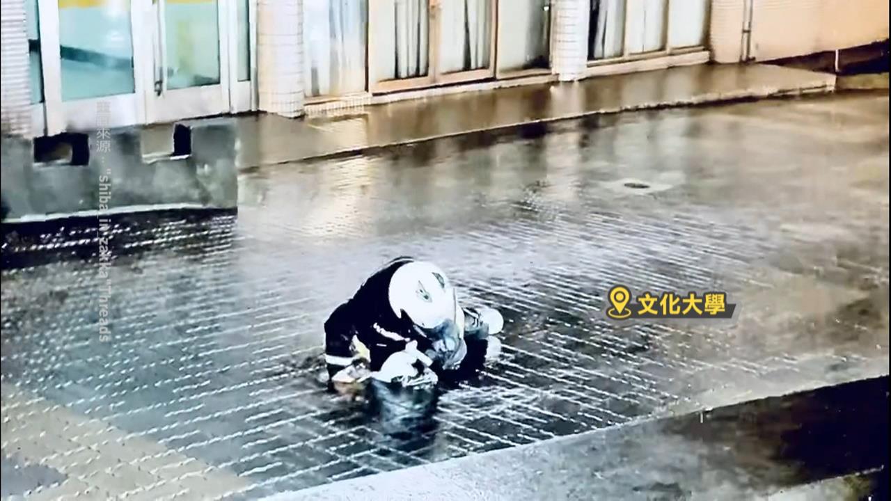 共伴效應雨彈續炸陽明山 文大刮10級風學生寸步難行