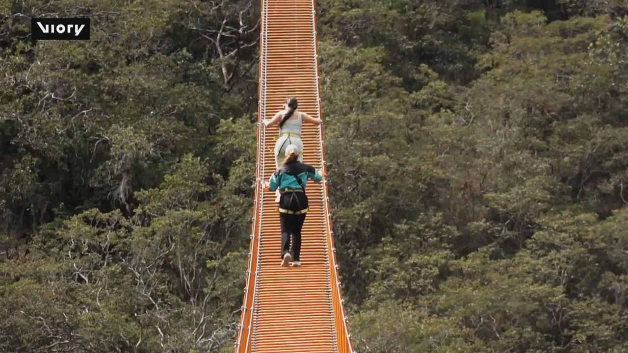 驚險！哥倫比亞最長懸空吊橋「天堂階梯」　挑戰者全副武裝、踩繩梯前進