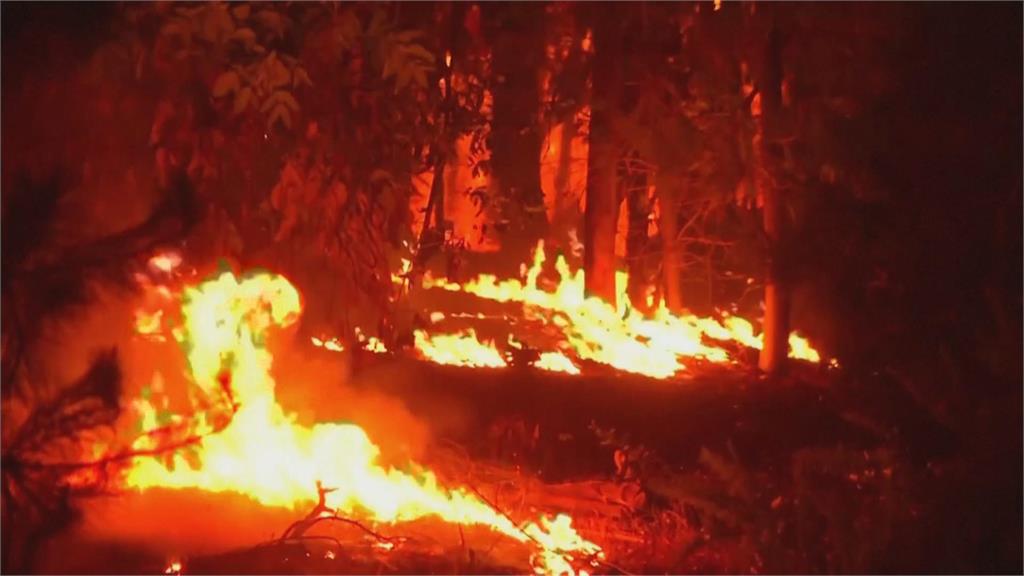 智利最大野火狂燒！　已釀23死980傷　當局緊急向鄰國求援