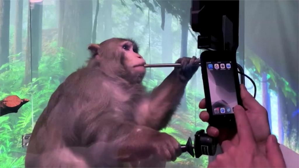 「超能」科技問世！ <em>馬斯克</em>釋出猴子用腦打電動影片