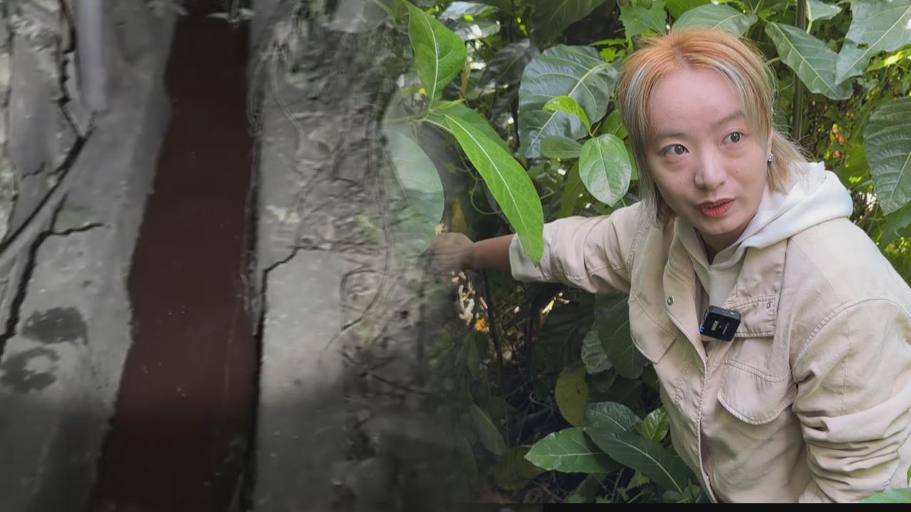 新北無良屠宰廠「血流成河」　黃淑君半夜突襲畫面曝