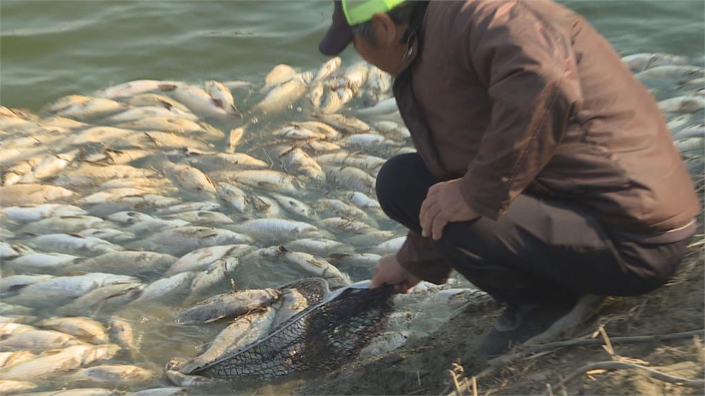 負北極震盪冷到過年！　農家抗「凍」作戰大出招