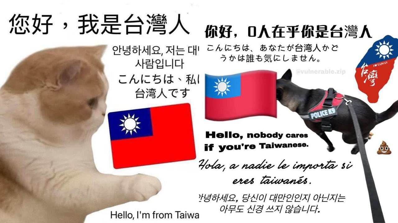 「您好，我台灣人」迷因圖太多！疑引「外國人反感」台網友嘆：存在感刷過頭