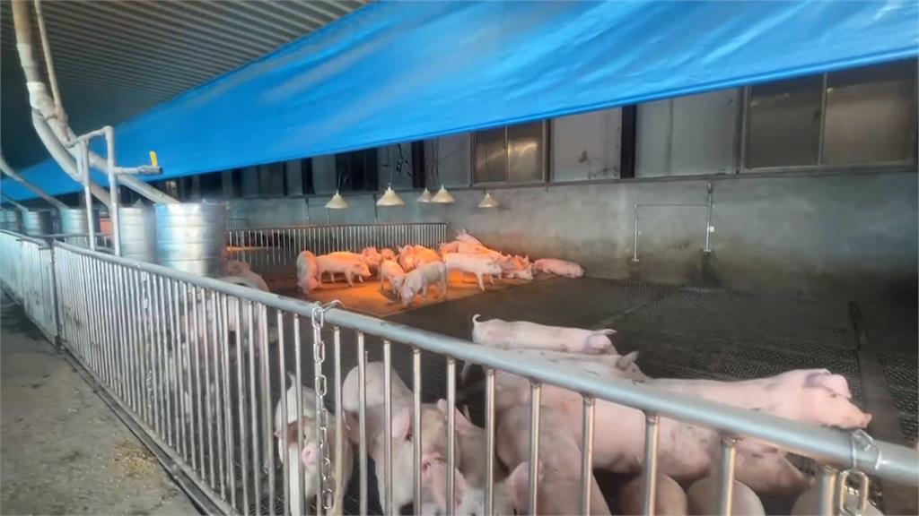 替動物裝設瓦斯燈具保暖　　2天用掉8至10桶瓦斯