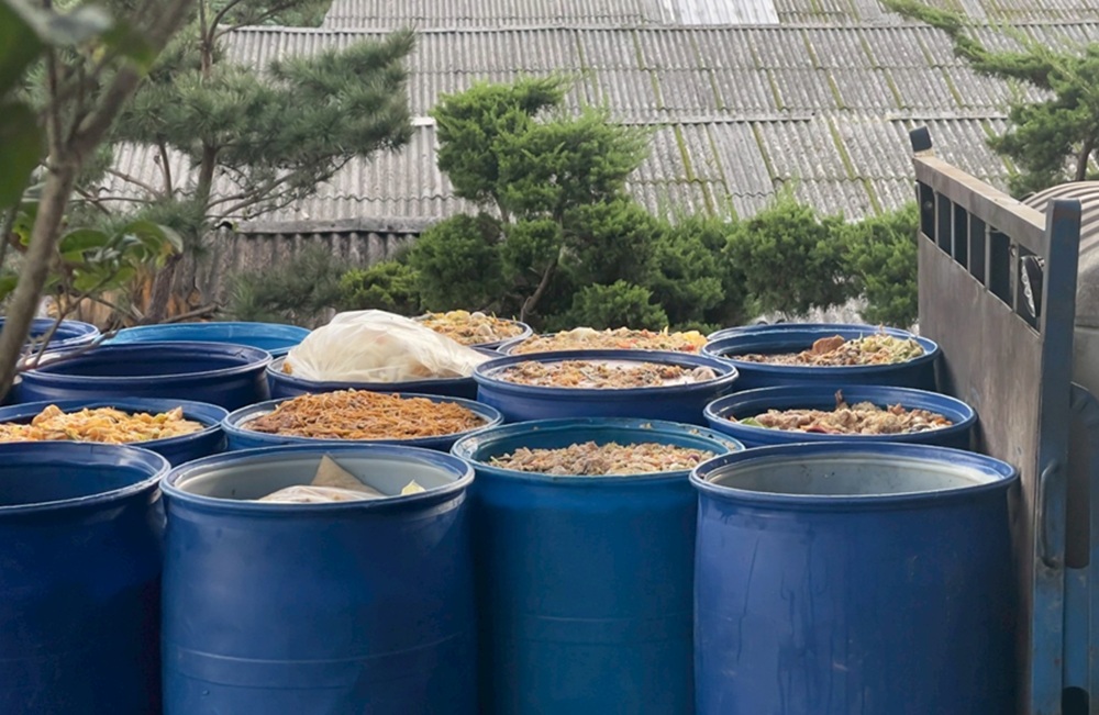 查獲違規餵食廚餘養豬場　新北重罰206萬元禁止上市補助