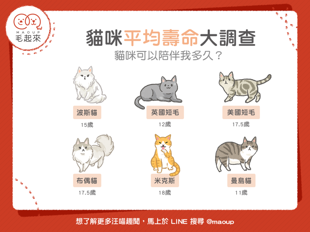 【喵喵小百科】貓咪平均壽命大調查 貓咪可以陪伴我多久？