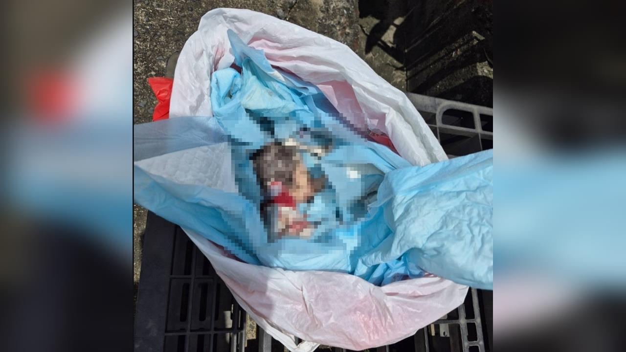 最新／慎入！台南崑山市場驚見「死嬰」躺保麗龍盒　警方急追移工送辦