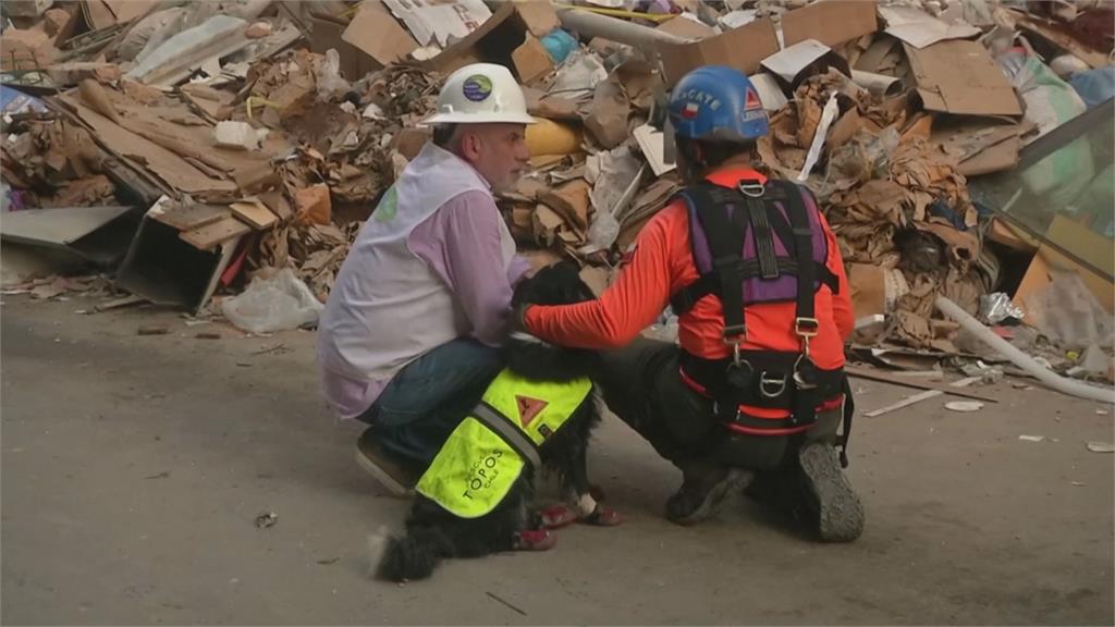 黎巴嫩大爆炸瓦礫堆測到生命跡象！搜救隊奮力挖掘中