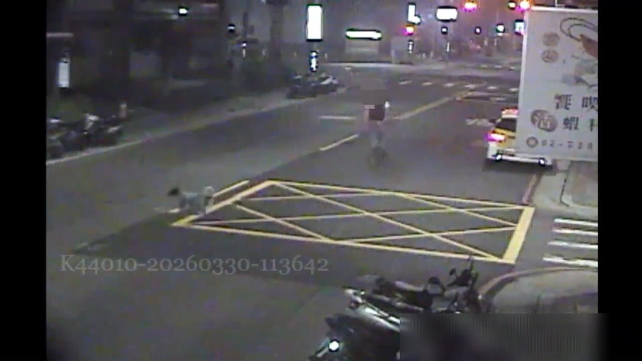 男子黃湯下肚路中隨機攔車！　忠犬「怕主人出事」沿路緊跟