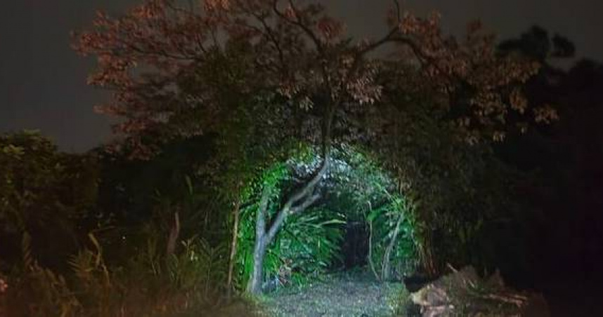 深夜驚魂！17歲女高中生跌落山坡遭倒樹壓住　警消摸黑搜山1小時救回