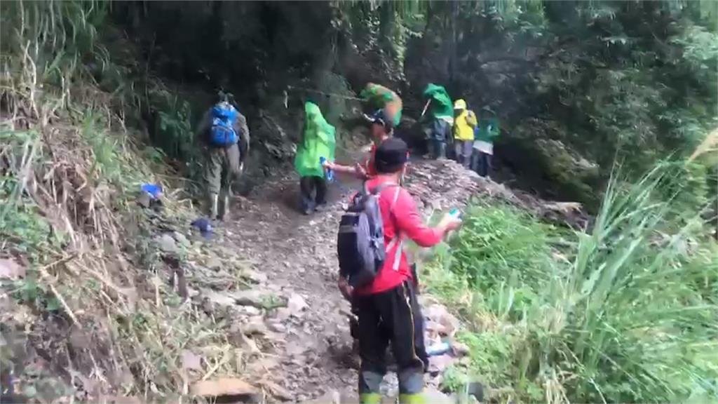 八通關古道虎頭蜂群攻擊登山客 22人被螫傷