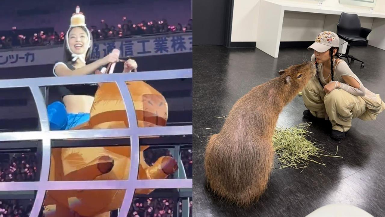 Jennie慶生「騎水豚君」現身東京巨蛋！反差萌造型網直呼：人間卡皮巴拉