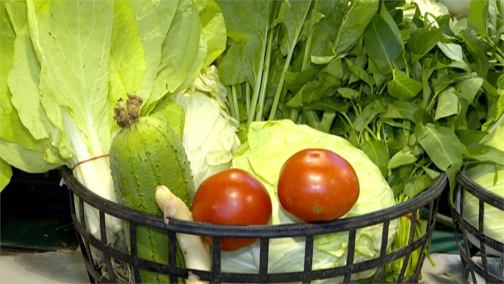 梅雨來襲農民搶收 葉菜類批發價上漲13.1％