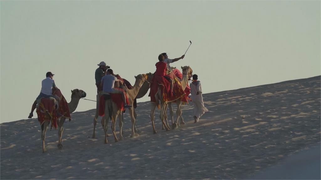 卡達世足遊客愛騎沙漠之舟　主人數錢樂壞卻累慘駱駝
