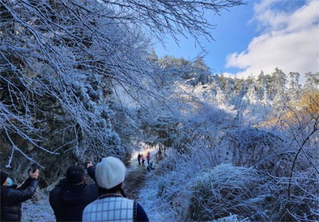 快新聞／武陵農場下雪了！走進夢幻雪白世界「山林間彷彿撒上糖霜」