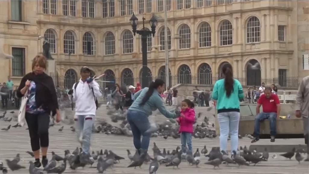 宣導勿餵鴿子效果不佳 哥倫比亞擬立法禁止