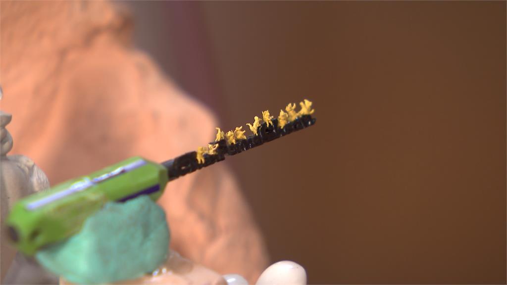 全球最小純金老鼠！毫芒雕刻家失敗百次、花10個月雕出