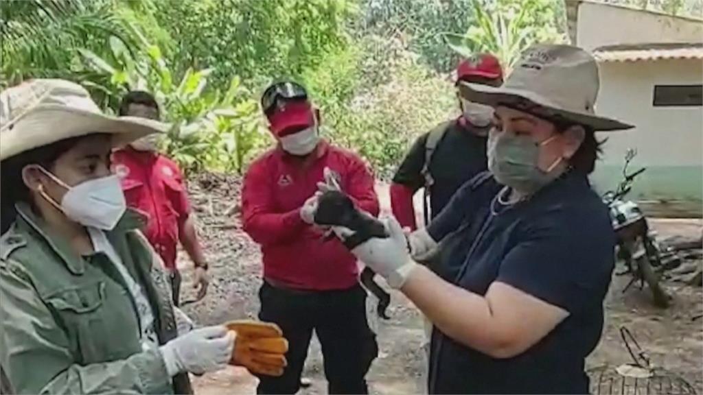 北半球熱浪襲！印度高溫破紀錄　墨西哥猴子大量暴斃