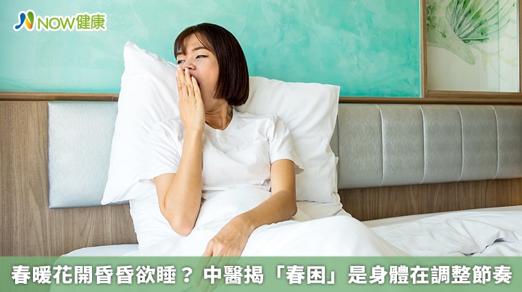春暖花開昏昏欲睡？ 中醫揭「春困」是身體在調整節奏