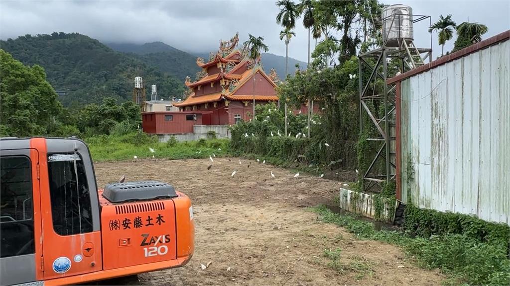 埔里鷺鷥林遭地主剷平　縣府農業局呼籲：暫停施工讓鳥繁殖