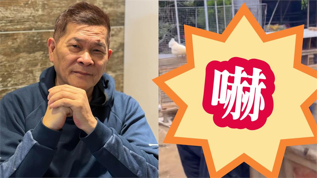 68歲澎恰恰遭目擊「賣地瓜滄桑模樣」！一低頭「驚見整片光禿」網心疼：好辛苦