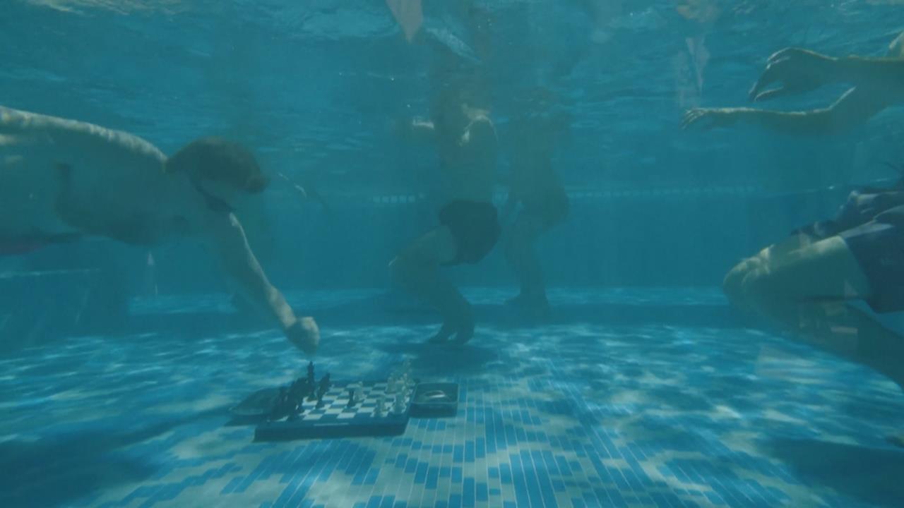 怪奇比賽！　南非「水下西洋棋」對弈　考驗棋手體能　這「因素」成致勝關鍵