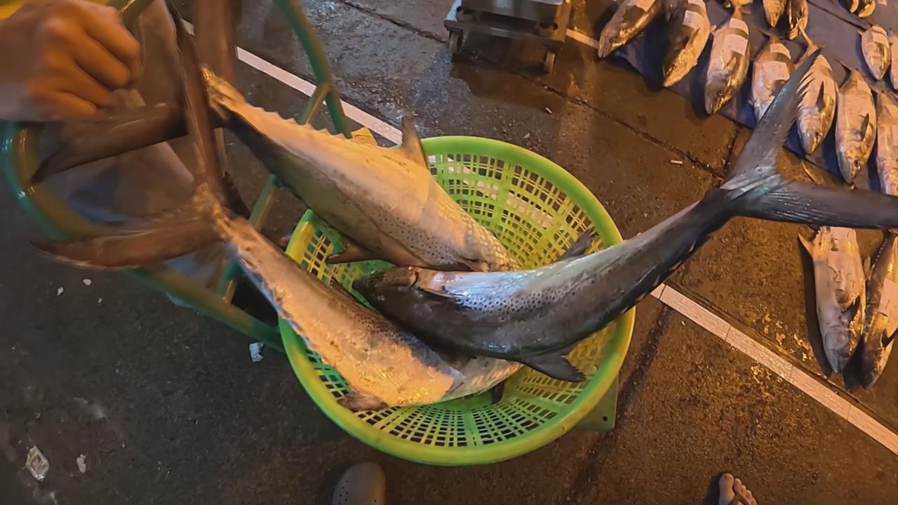 逛澎湖漁市爽買「白金魚」　達人揭驚人價差：價格砍半