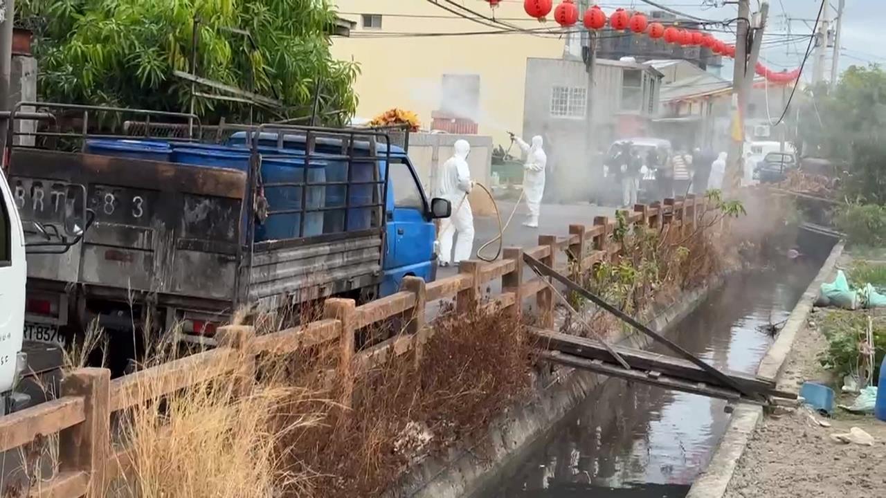 台中梧棲疑爆非洲豬瘟　撲殺195頭豬　養豬場全面清消