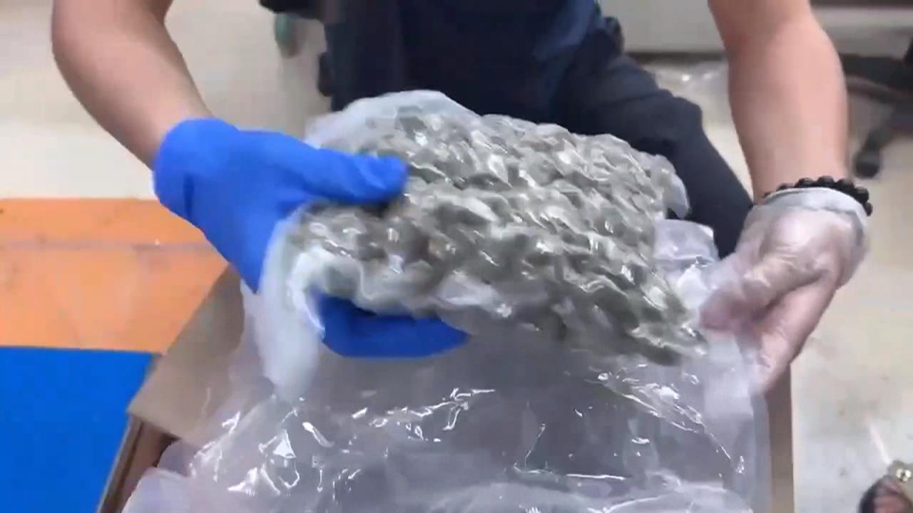 露營區淪毒品中繼站! 刑事局偵破"大麻國際郵包"逮4嫌
