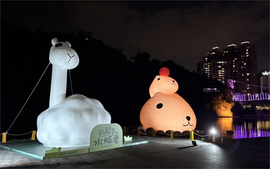 碧潭巨萌水豚君登場!12米高地景點亮58天療癒全場