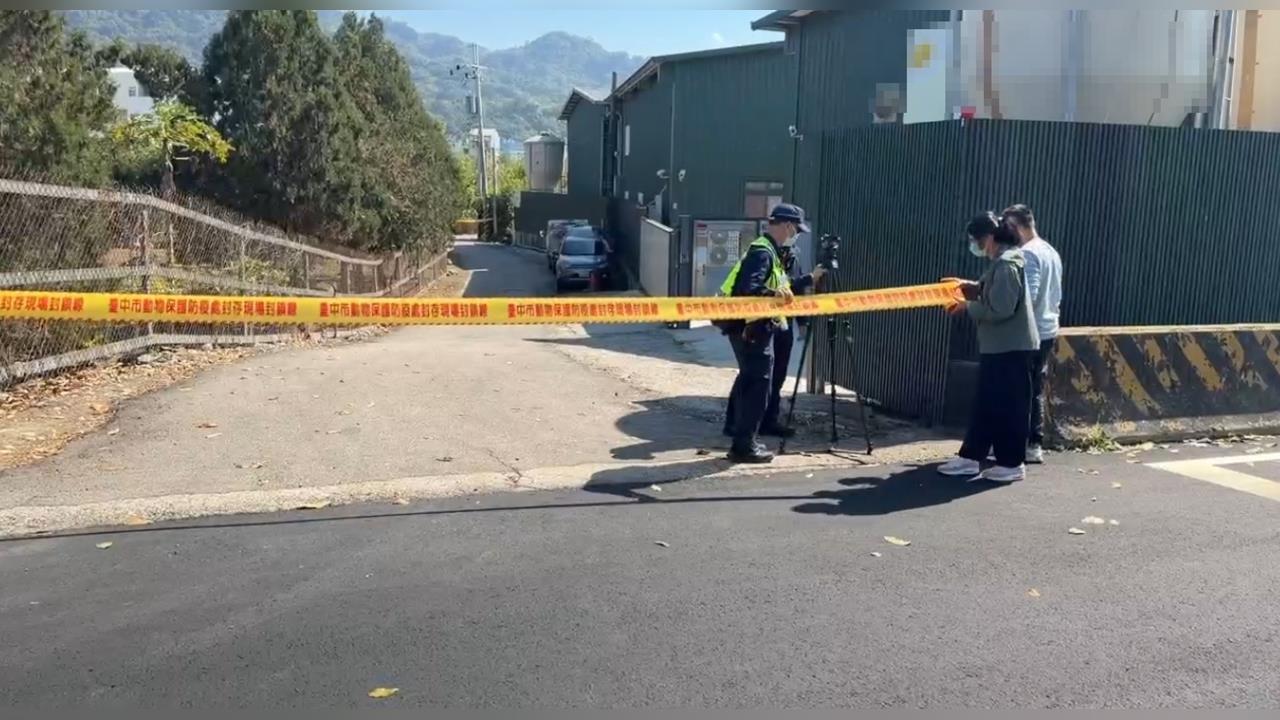 快新聞／瞞禽流感疫情！台中畜牧場將死雞埋苗栗　業者羈押禁見、地主20萬交保