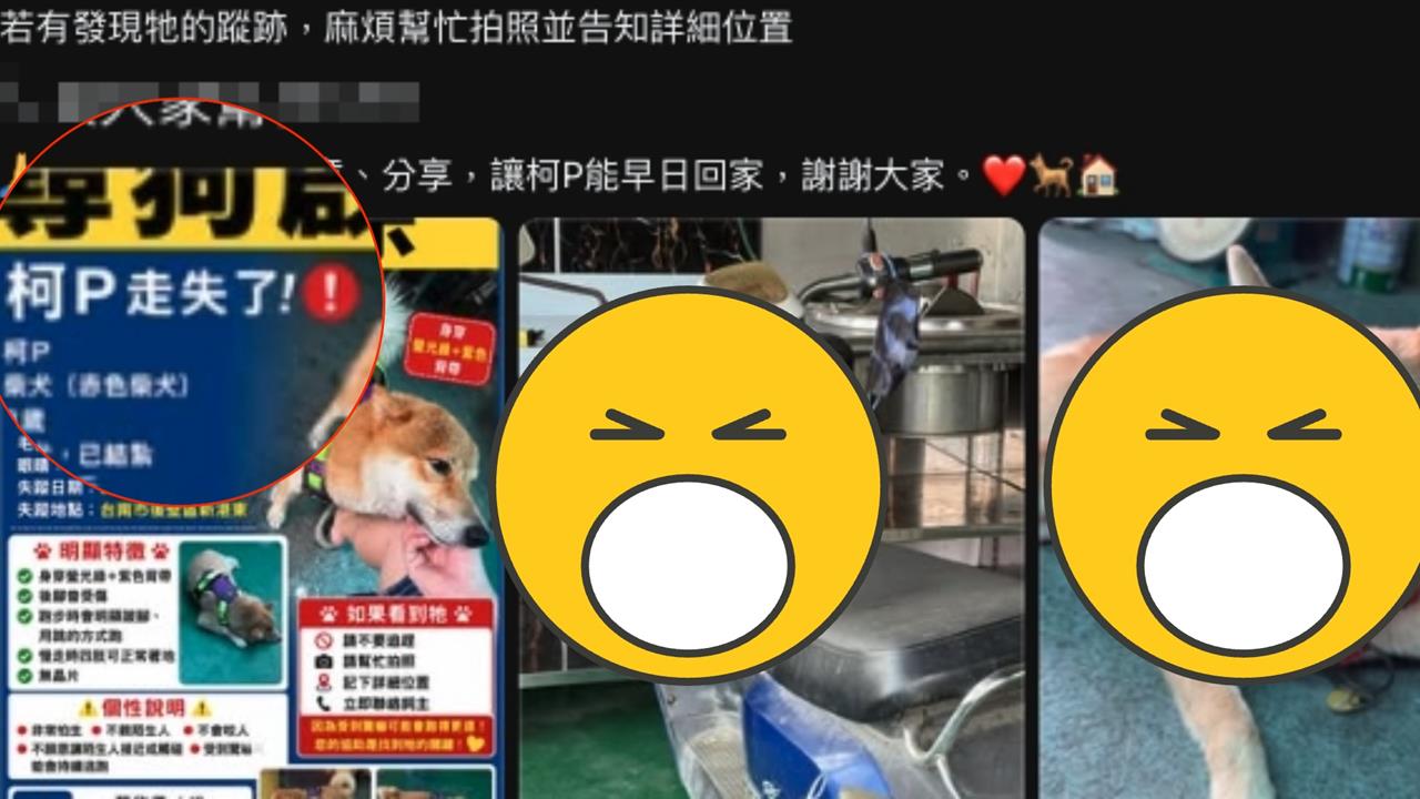 「柯P走失了」家人PO協尋啟事！最後身影流出…網急喊：快幫忙