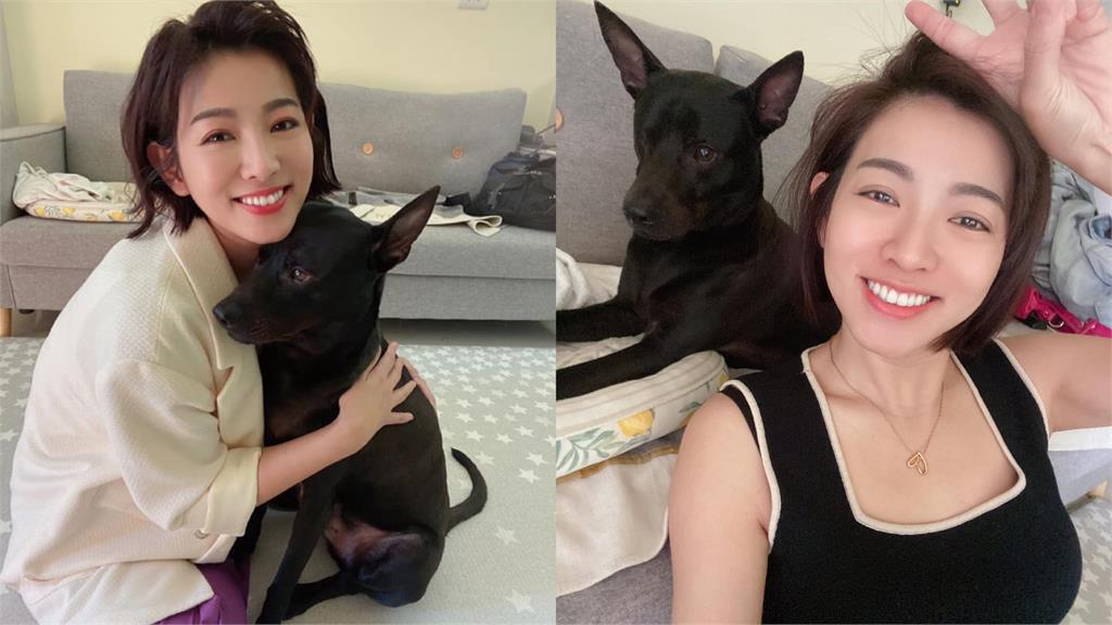 米可白遭投訴「常半夜回家」讓愛犬擾鄰　她1句怒回：難道要封牠的嘴？