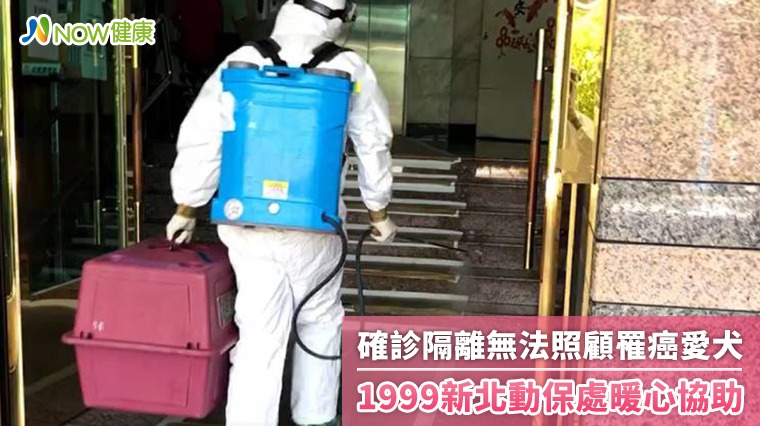 確診隔離無法照顧罹癌愛犬 1999新北動保處暖心協助 