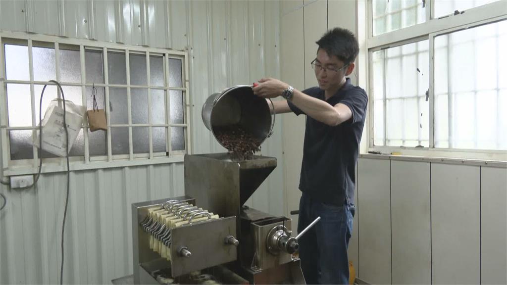 花蓮青農自產自銷苦茶油　連4年獲3項國際大獎