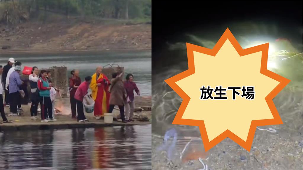 中國流行奇葩放生！道士率眾「丟水果+動物」畫面曝…烏龜幾乎全死光