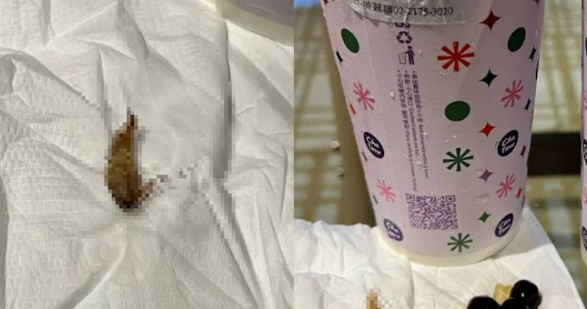 超噁！消費者喝珍奶「吸出一隻蟑螂」狂嘔吐　日出茶太認了急消毒