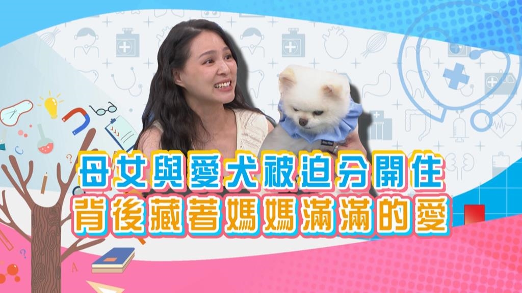 (影)／熊熊不捨把女兒與狗狗分開住 背後藏著媽媽滿滿的愛？