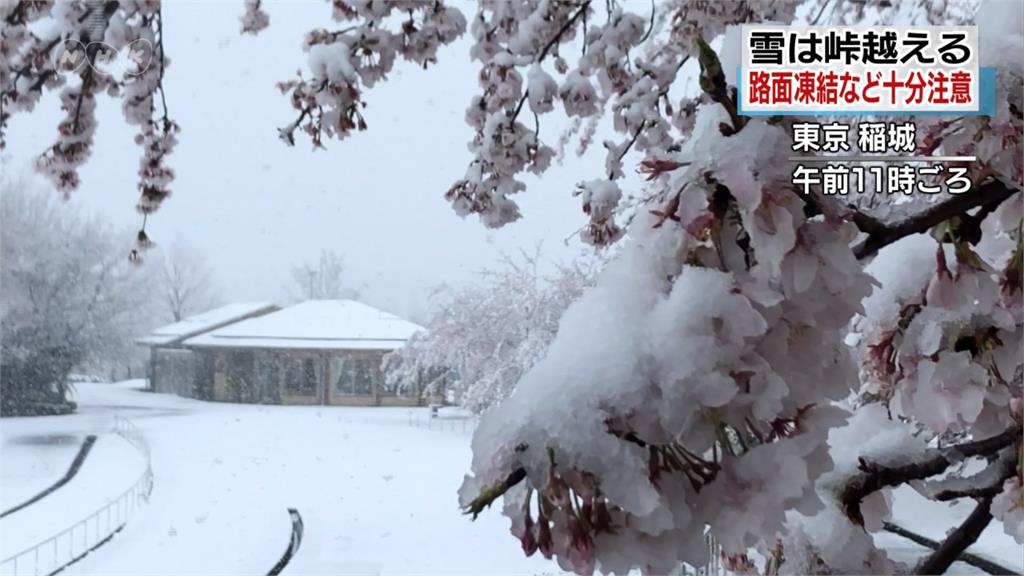 低氣壓、冷氣團影響 日本關東地區下大雪