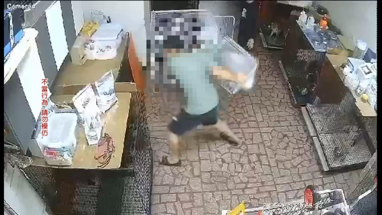 月花6萬送訓犬學校　飼主控愛犬遭不當對待