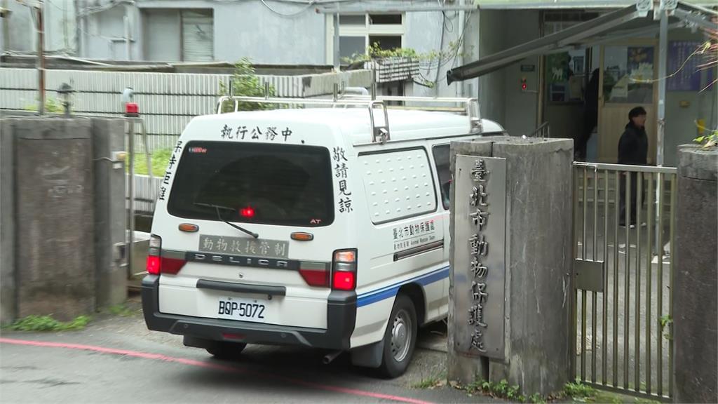 比特犬首次咬人未沒入　關說施壓？楊植斗：另有其人