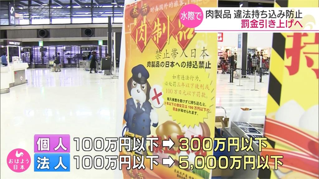 日本防非洲豬瘟 罰則提高為300萬日圓