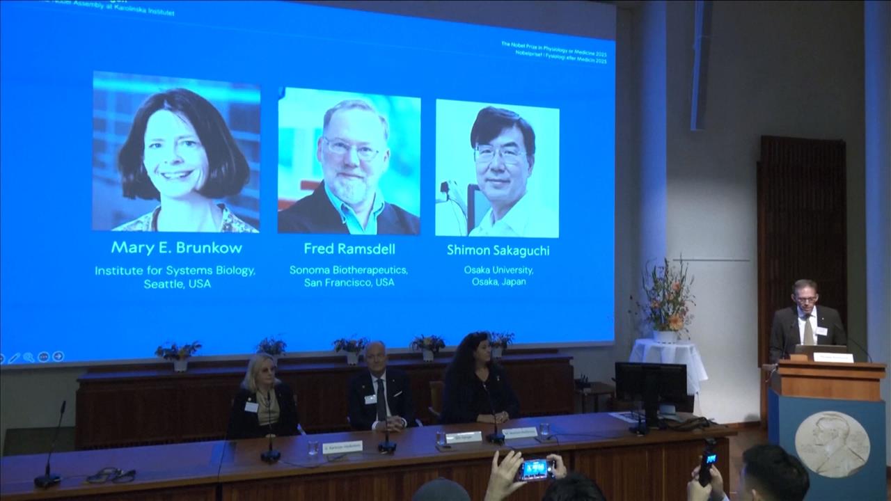 美日3學者獲諾貝爾獎　促進癌症與免疫系統疾病新療法